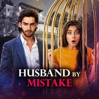 Husband by Mistake | हसबैंड बै मिस्टेक Husband by Mistake | हसबैंड बै मिस्टेक