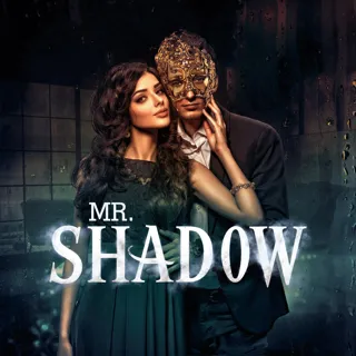 Mr. Shadow | मिस्टर शैडो Mr. Shadow | मिस्टर शैडो