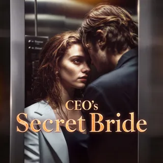CEO's Secret Bride