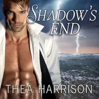 Shadow's End Shadow's End