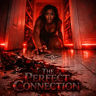 The Perfect Connection The Perfect Connection