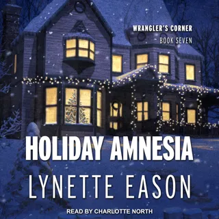 Holiday Amnesia Holiday Amnesia