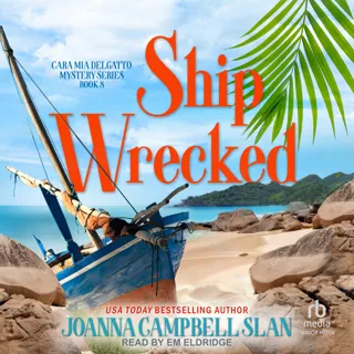Ship Wrecked Ship Wrecked