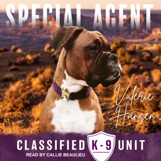 Special Agent Special Agent