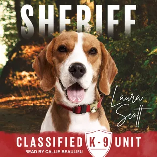 Sheriff Sheriff