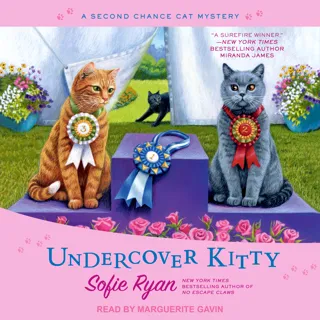 Undercover Kitty Undercover Kitty